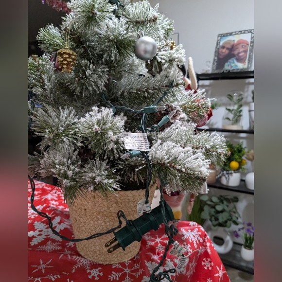 Beautiful Miniature Christmas Tree with Lights!!! - Picture 4 of 9